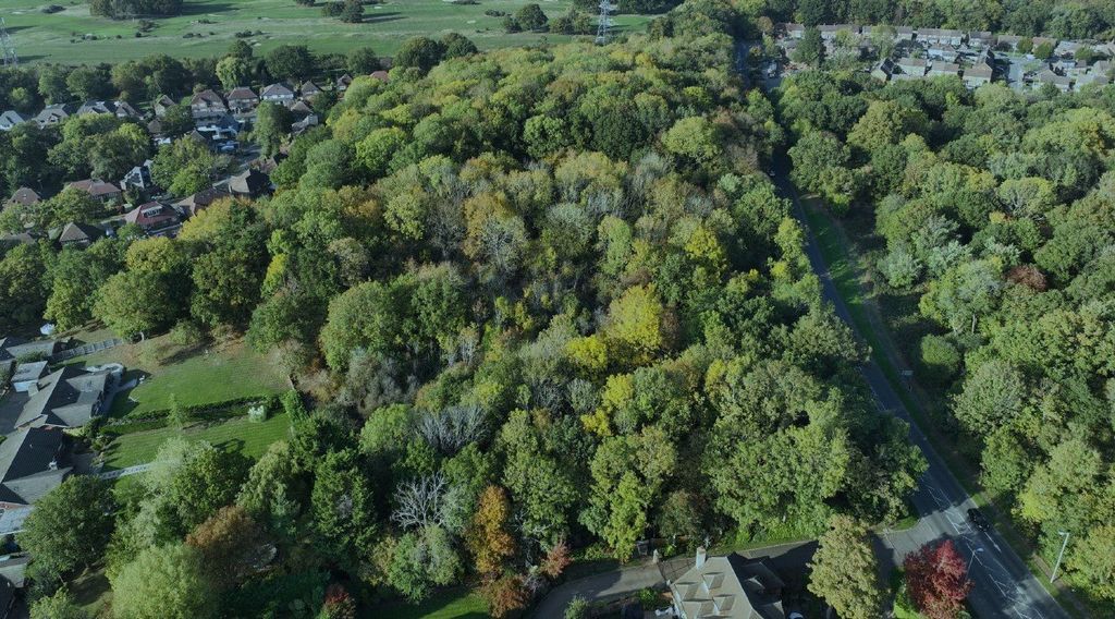 Property photo 1 of 4 Picture No. 02