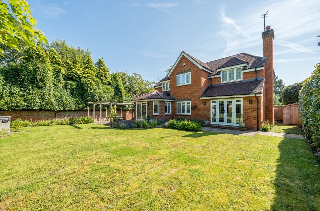 Additional image 6 of Something went wrong