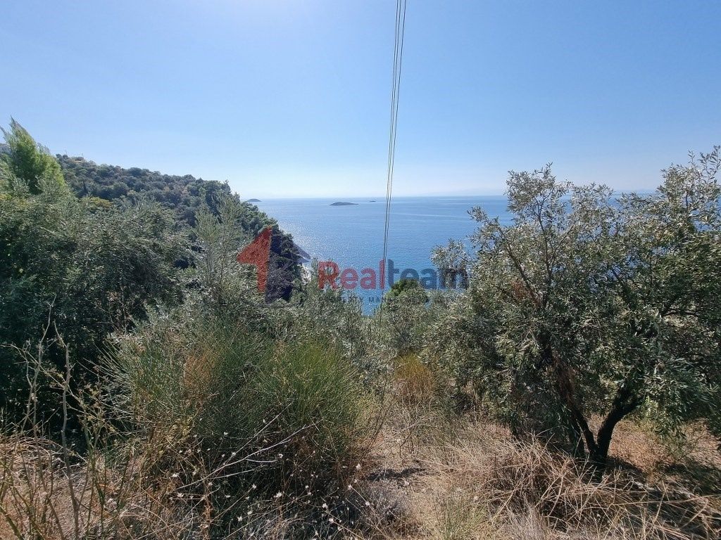 Property photo 3 of 25