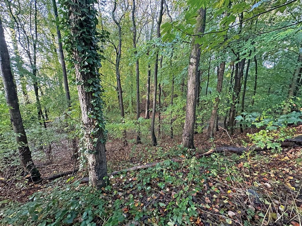 Property photo 2 of 6