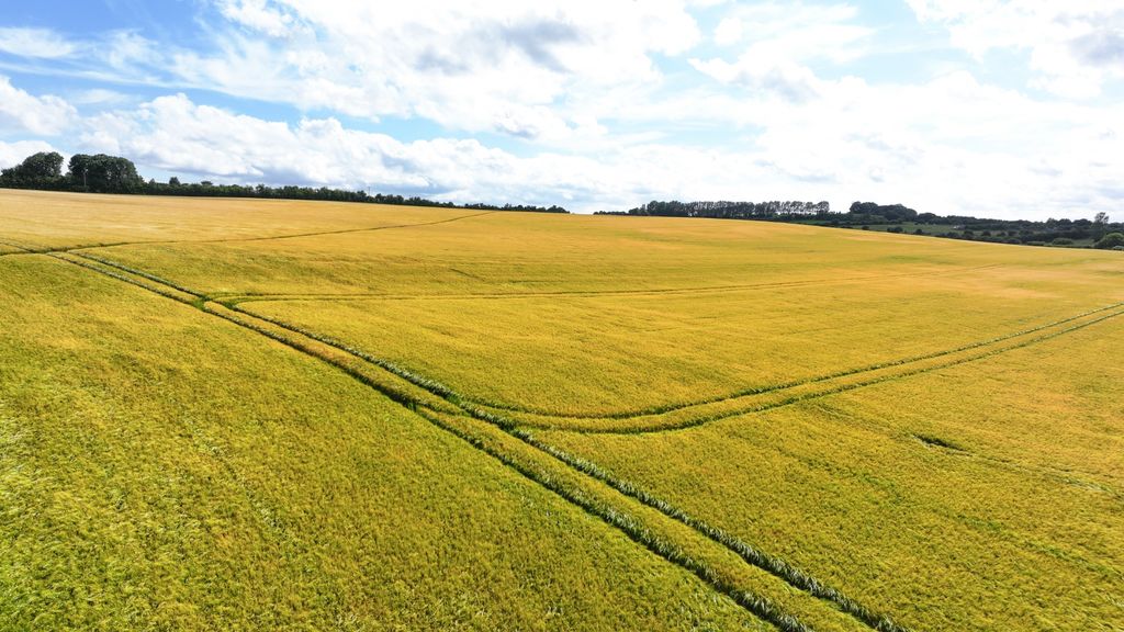 Property photo 1 of 5 Photo 3