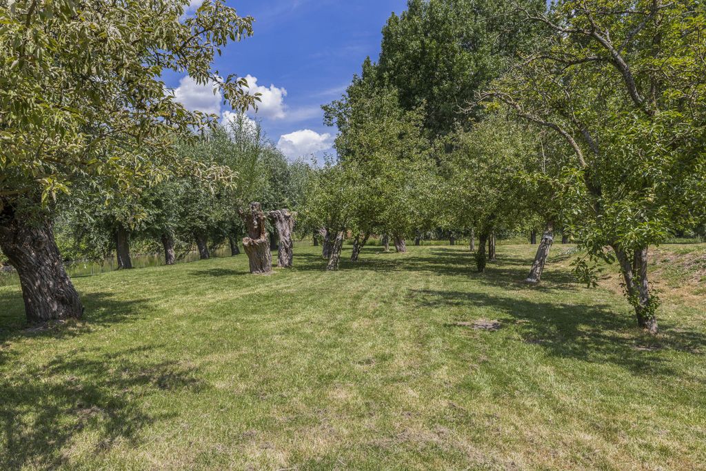 Property photo 2 of 97