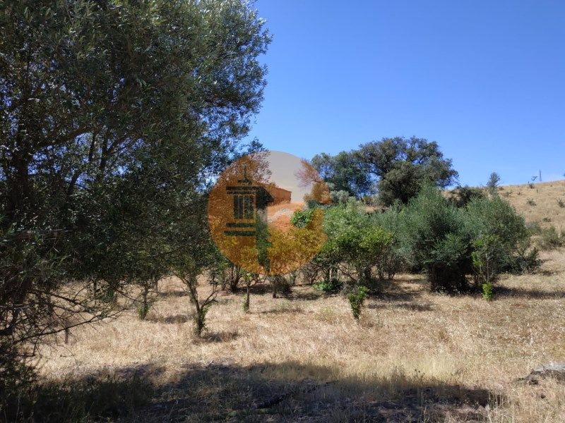 Property photo 2 of 48