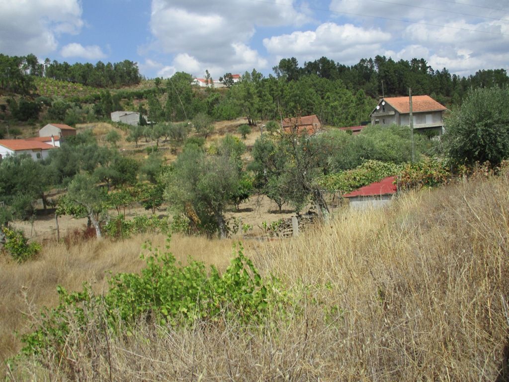 Property photo 3 of 6