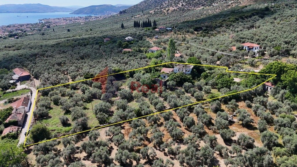 Property photo 2 of 24