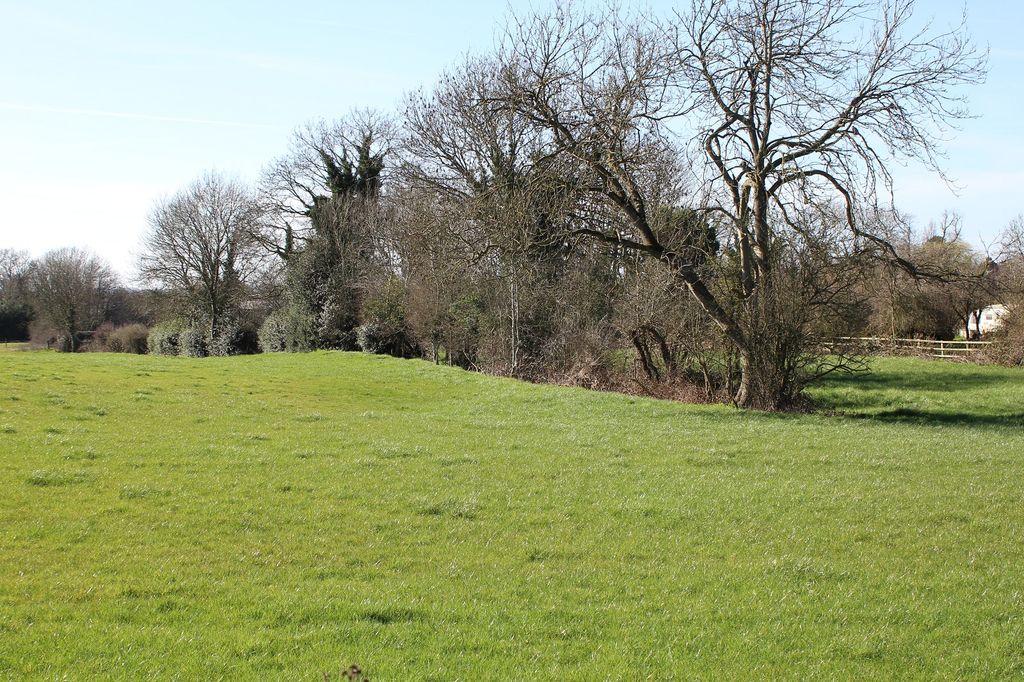 Property photo 2 of 14 View Beyond