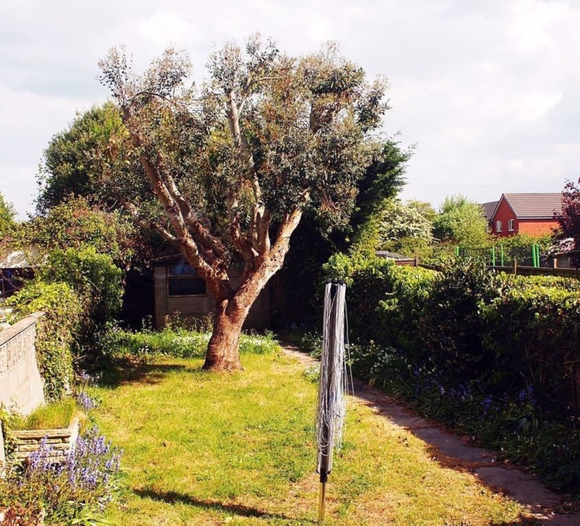 Property photo 2 of 11 A Beautifully Maintained Garden Featuring A Large ...