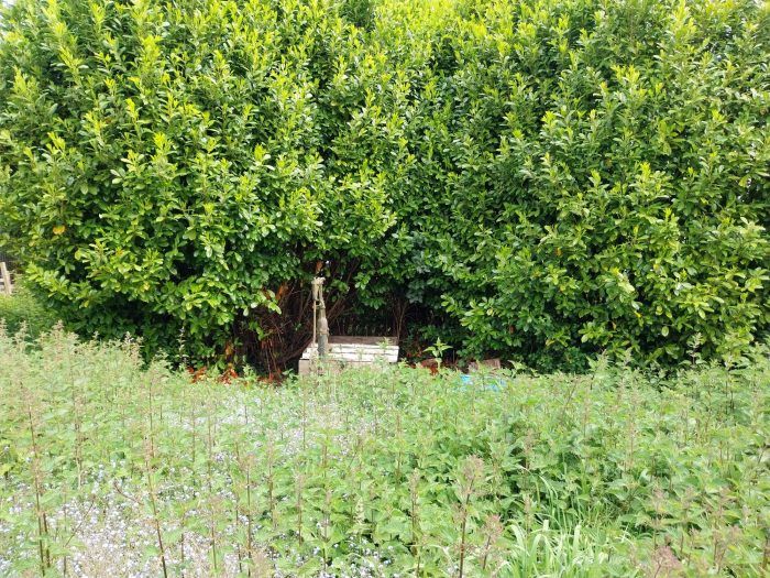 Property photo 2 of 5