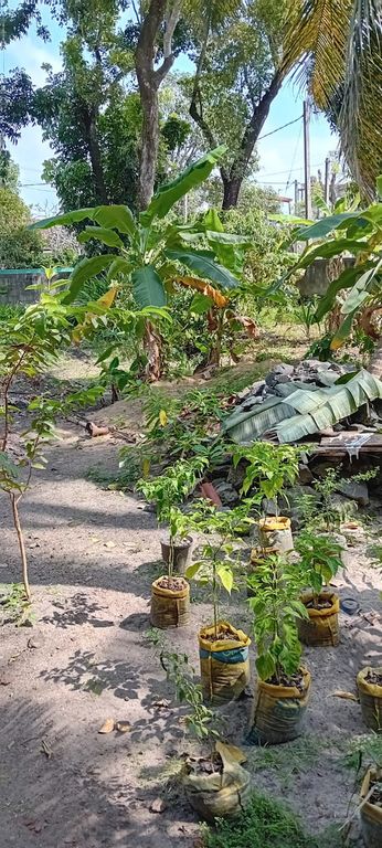 Property photo 2 of 4