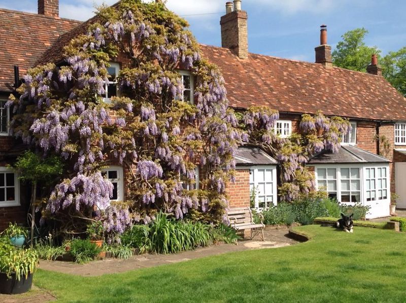 Property photo 2 of 23 Wisteria