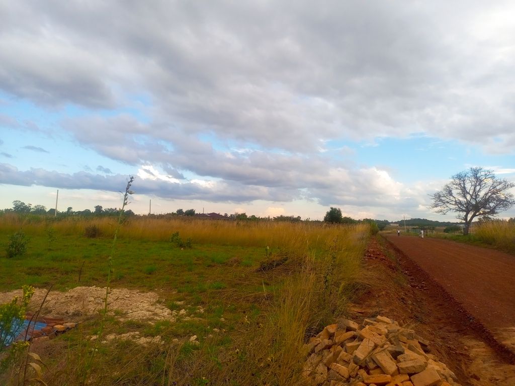 Property photo 3 of 9 Open Field With Tall Grass, A Dirt Road On The Right, A Few Trees On The Horizon, And A Cloudy Sky.