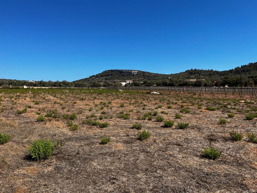 Property photo 3 of 29 Whatsapp Image 2024-07-24 At 11.21.00 (2).Jpeg