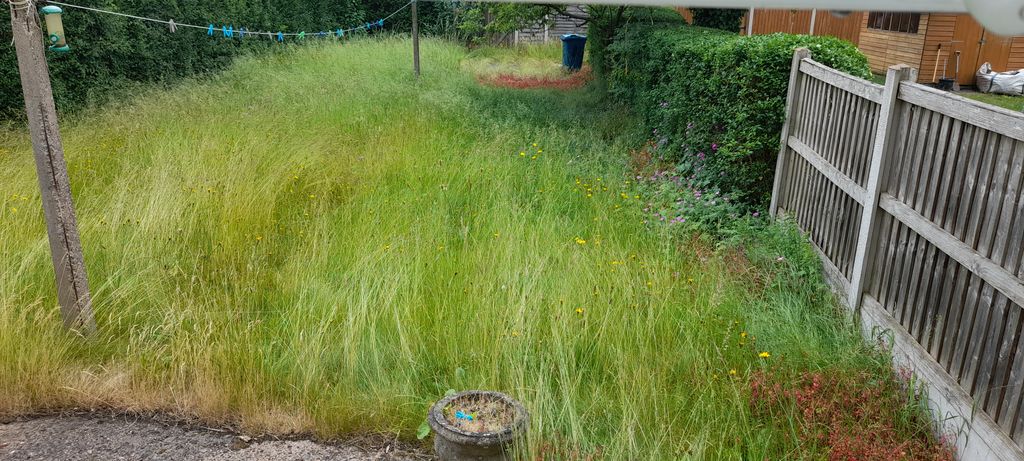 Property photo 2 of 11 Garden, Grass Will Be Cut