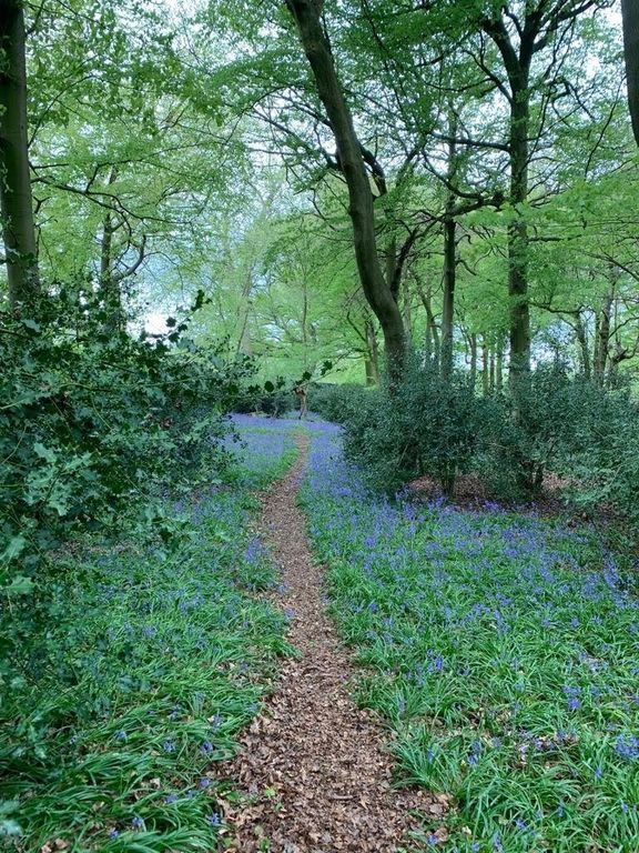 Property photo 3 of 5 Picture No. 03