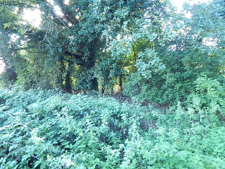 Property photo 3 of 6