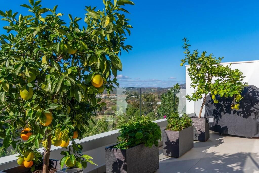 Property photo 1 of 3