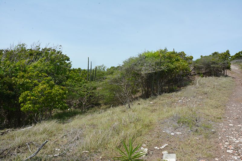 Property photo 3 of 9