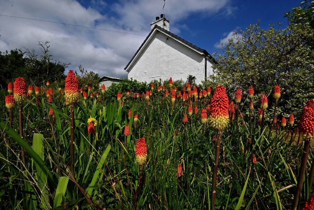 Property photo 3 of 34 5095434