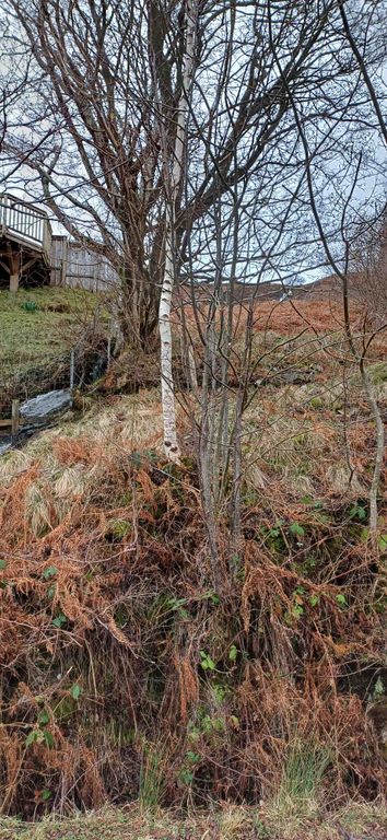 Property photo 3 of 14