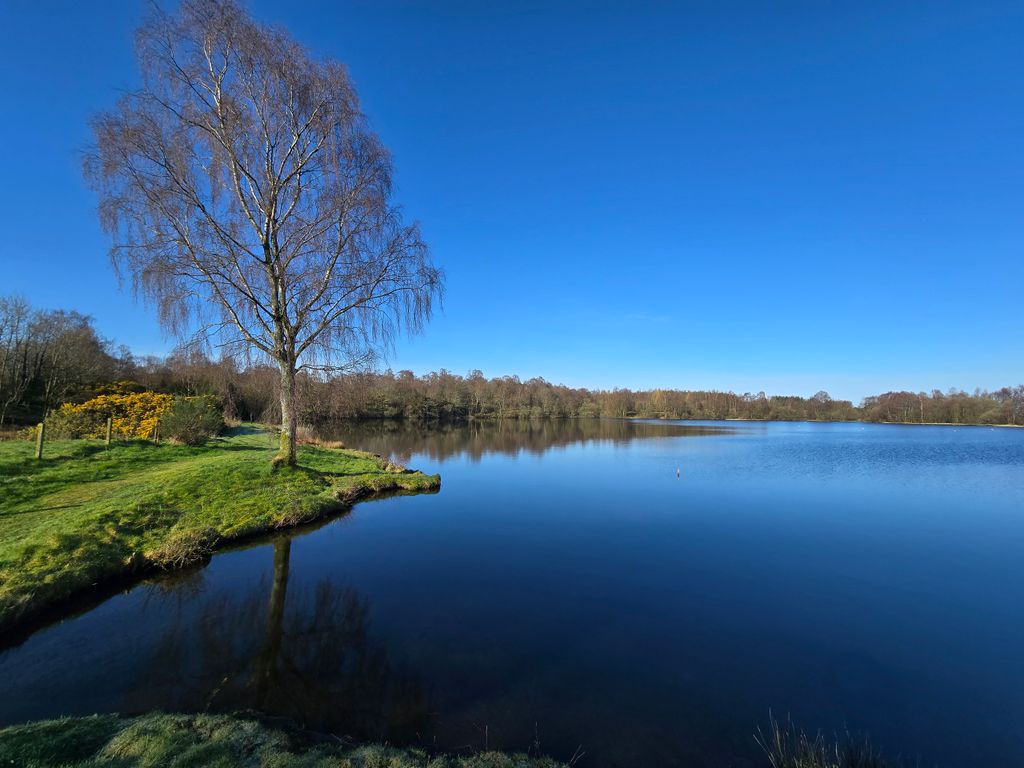 Property photo 2 of 8 3