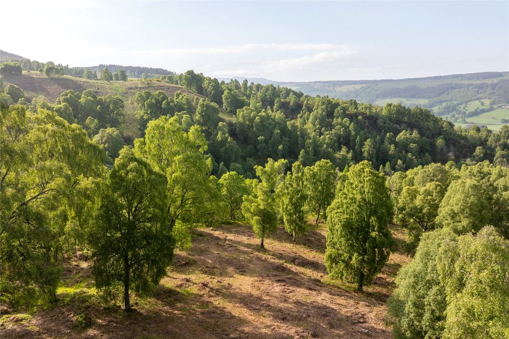 Additional image 28 of Land for saleKinnaird Estate, Dunkeld, Perthshire PH8