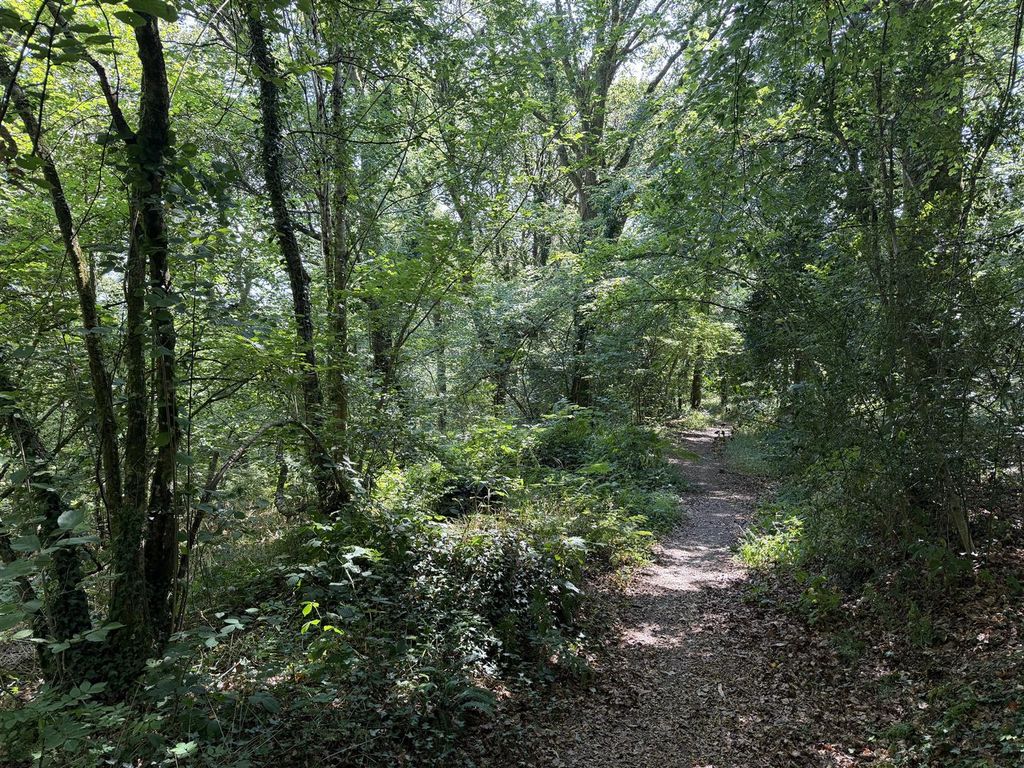 Property photo 3 of 9 Img_2558.Jpg
