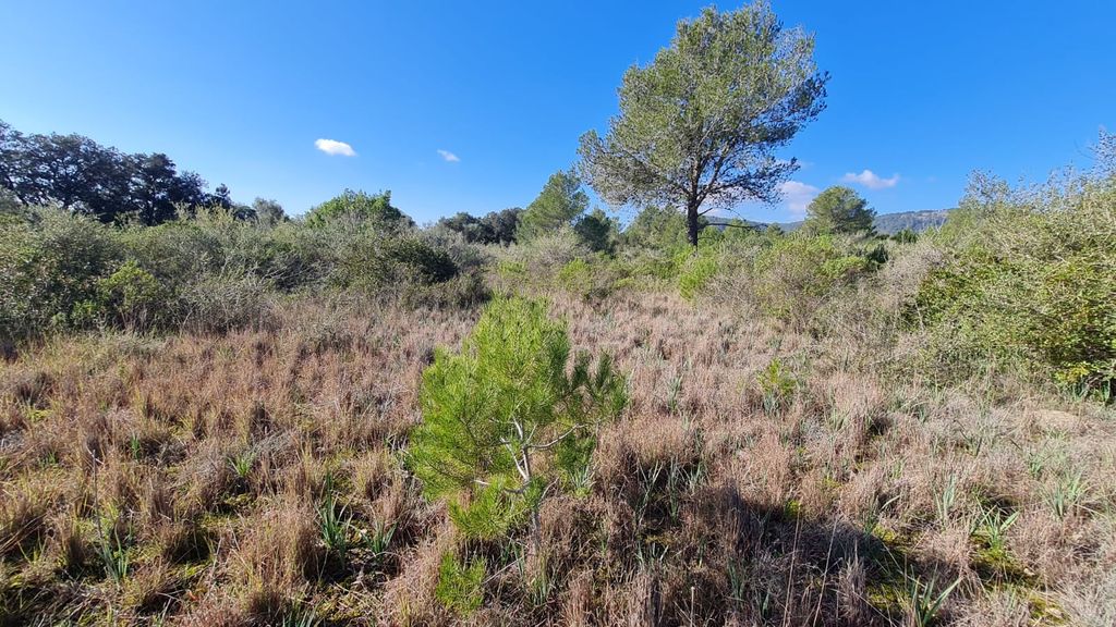 Property photo 2 of 5 1c4559Ff-0d52-4E7E-B947-9Ad77B79Dd32.Jpg