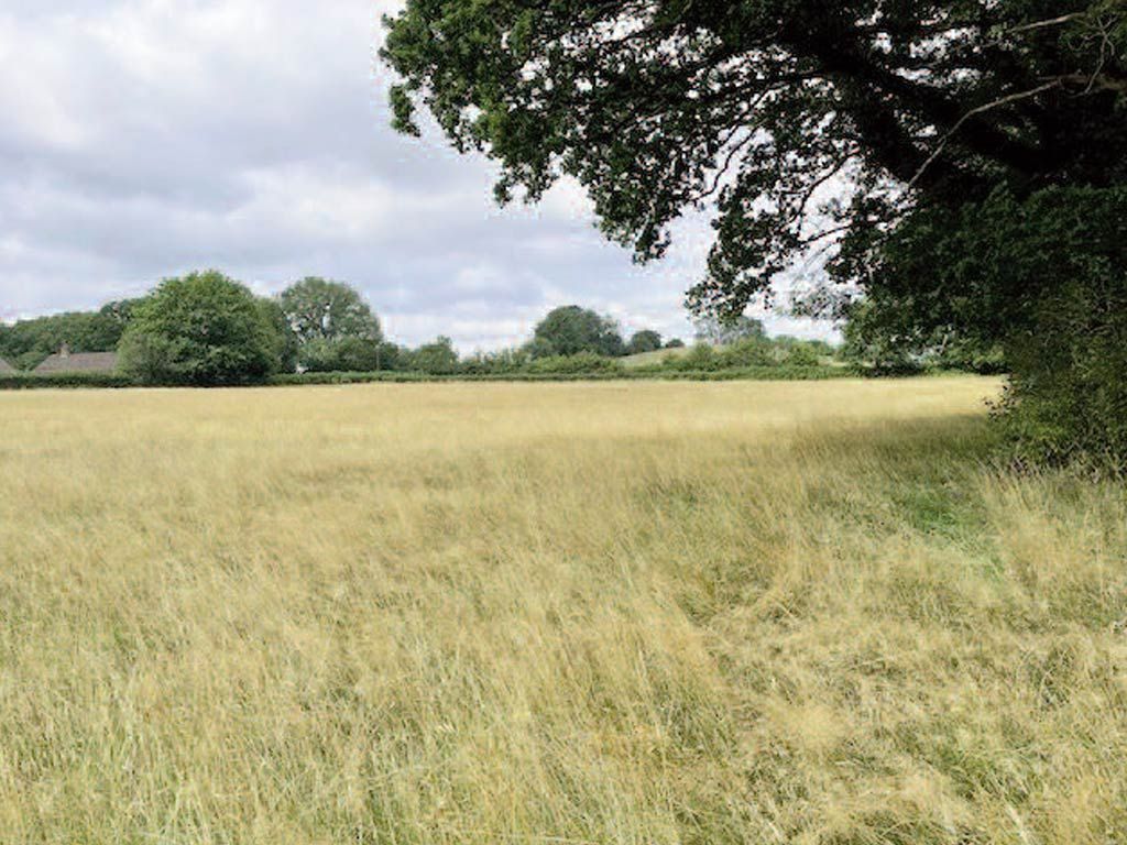Property photo 1 of 1 Land And Outbuildings For Sale Freehold In Billinghurst