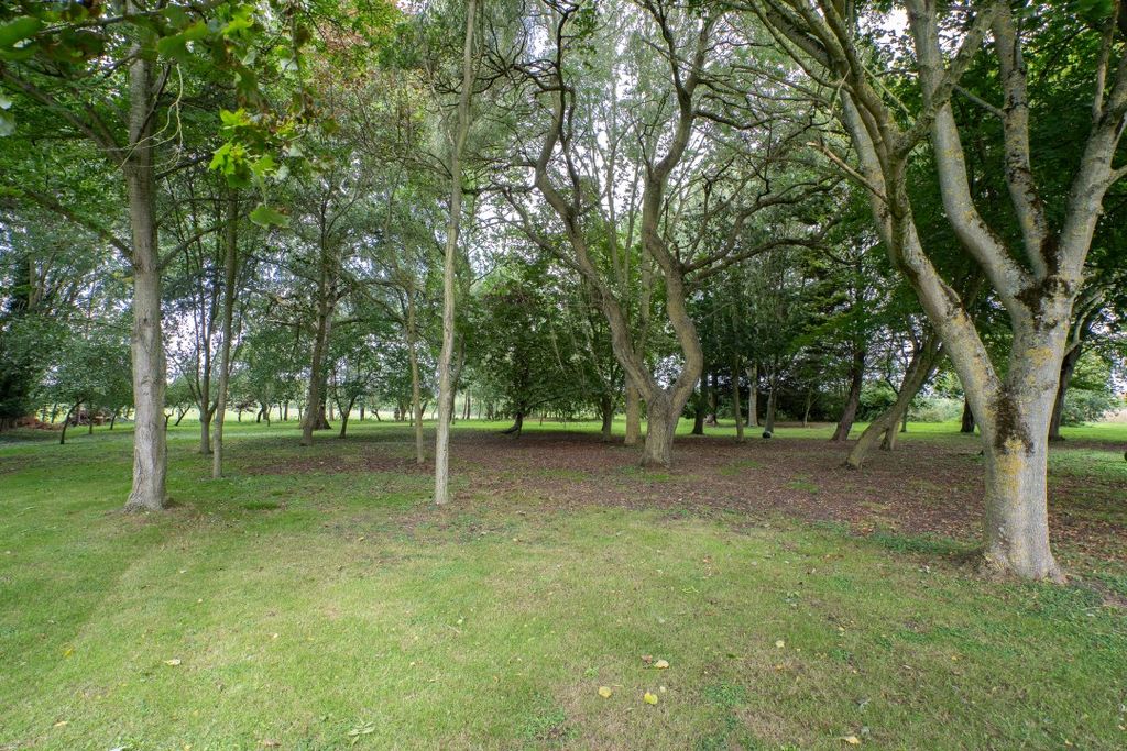 Property photo 3 of 44