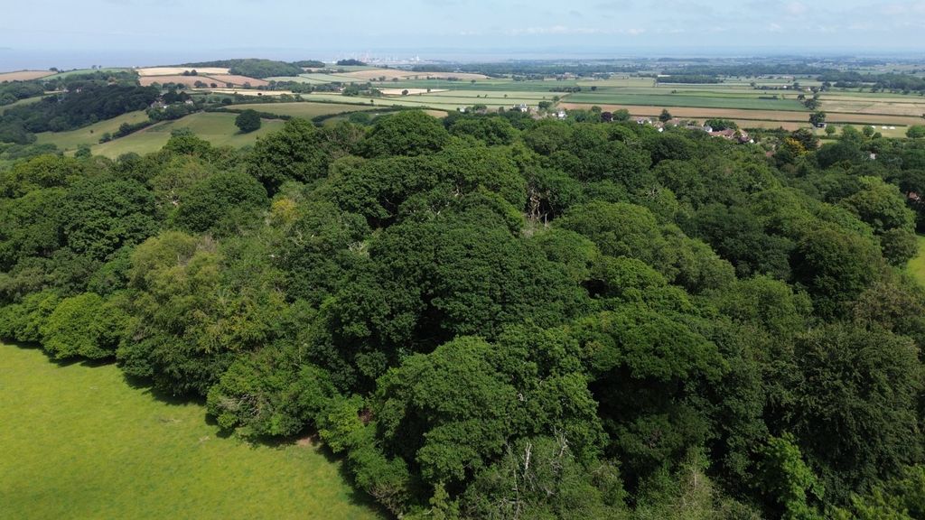 Property photo 2 of 22 Picture No. 34