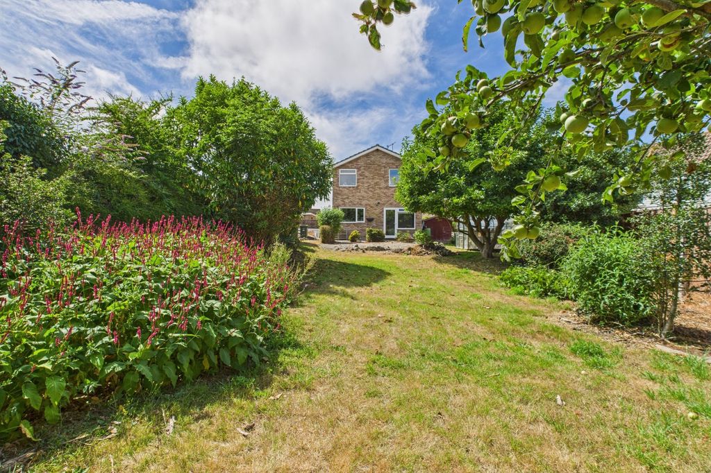 Property photo 2 of 12 Picture No. 11