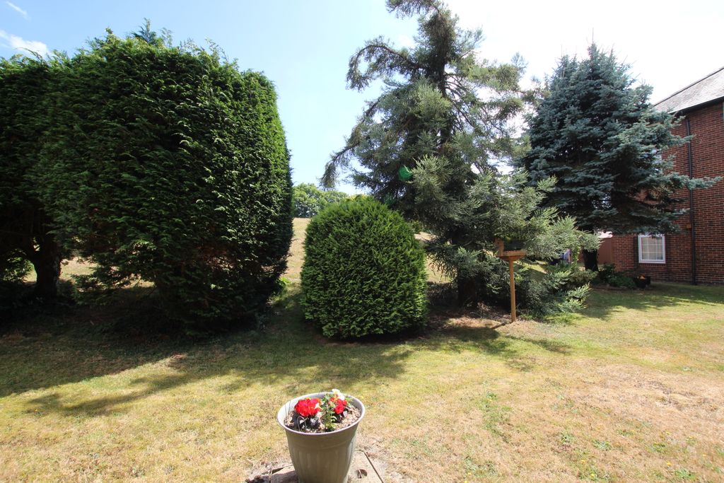 Property photo 3 of 19