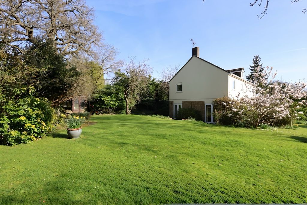 Property photo 2 of 28 Img_0065