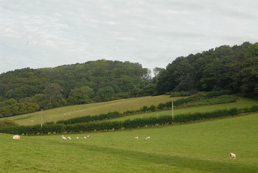 Additional image 31 of 4 bed detached house for saleLlanfyllin, Powys SY22