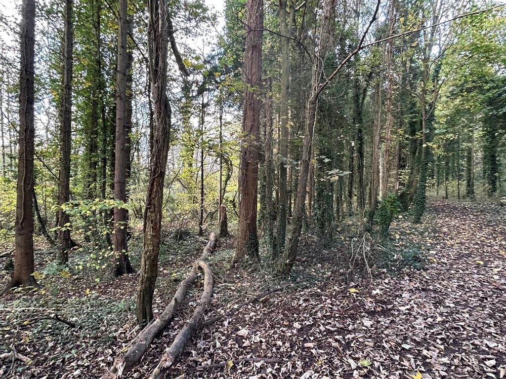Property photo 2 of 11 The Land