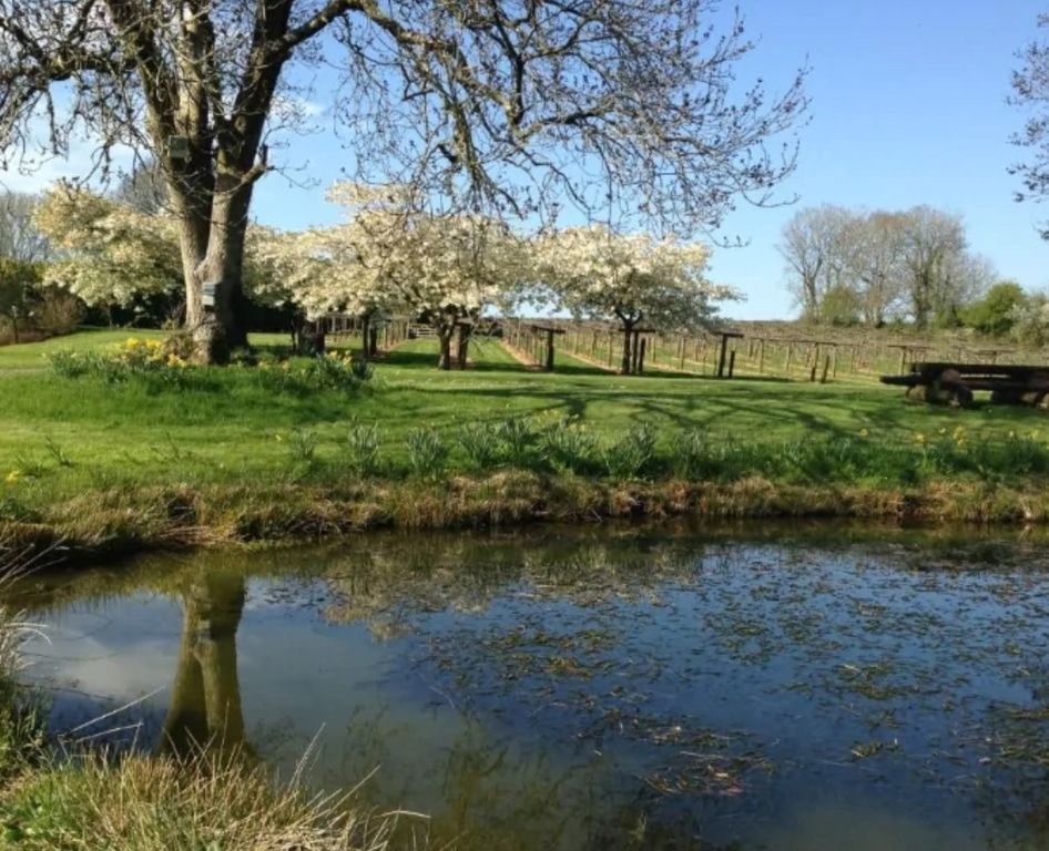 Property photo 3 of 53