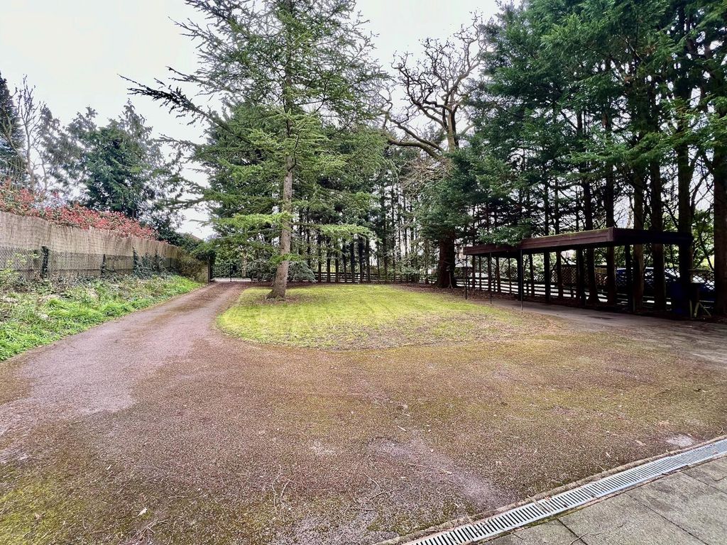 Property photo 2 of 17 Driveway