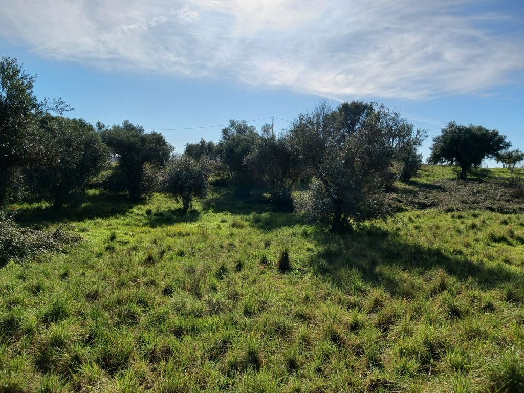 Property photo 3 of 6