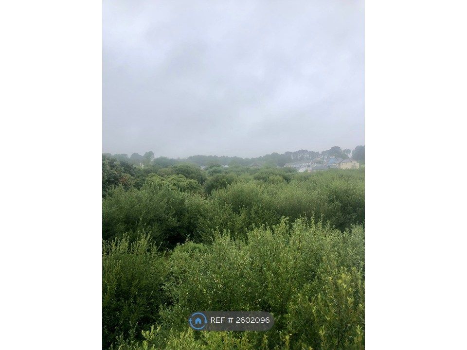 Property photo 2 of 9 View From Side And Rear Windows