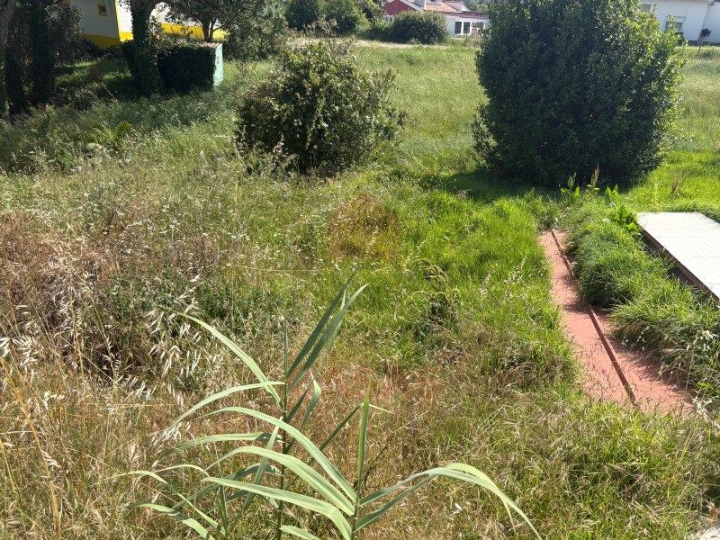 Property photo 3 of 5
