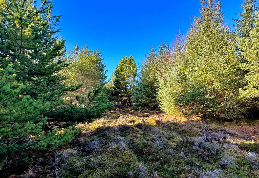 Property photo 3 of 9 Lot 3