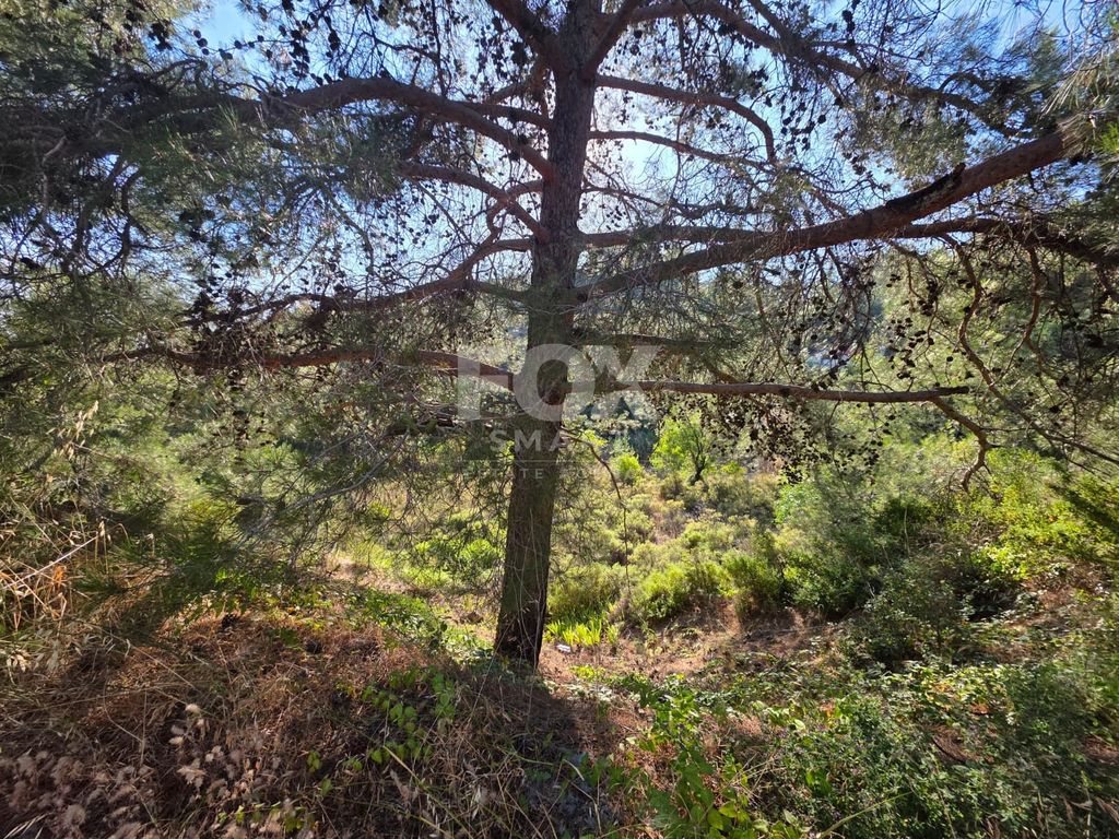 Property photo 1 of 4 Scenic Residential Plot In Pano Platres With Mountain Views