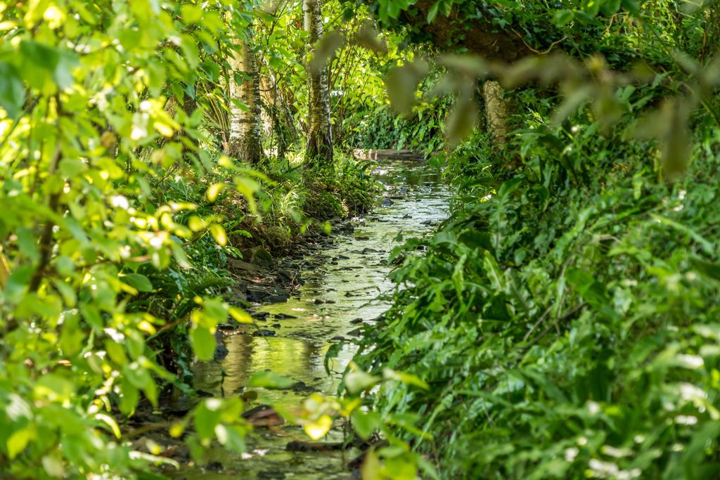 Property photo 3 of 27