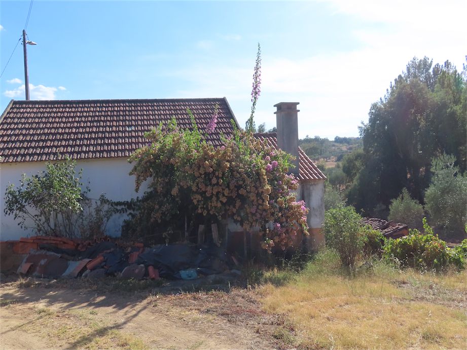 Property photo 3 of 37