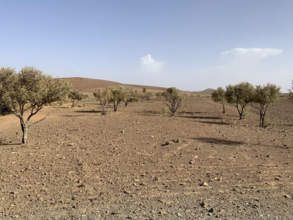 Property photo 3 of 4