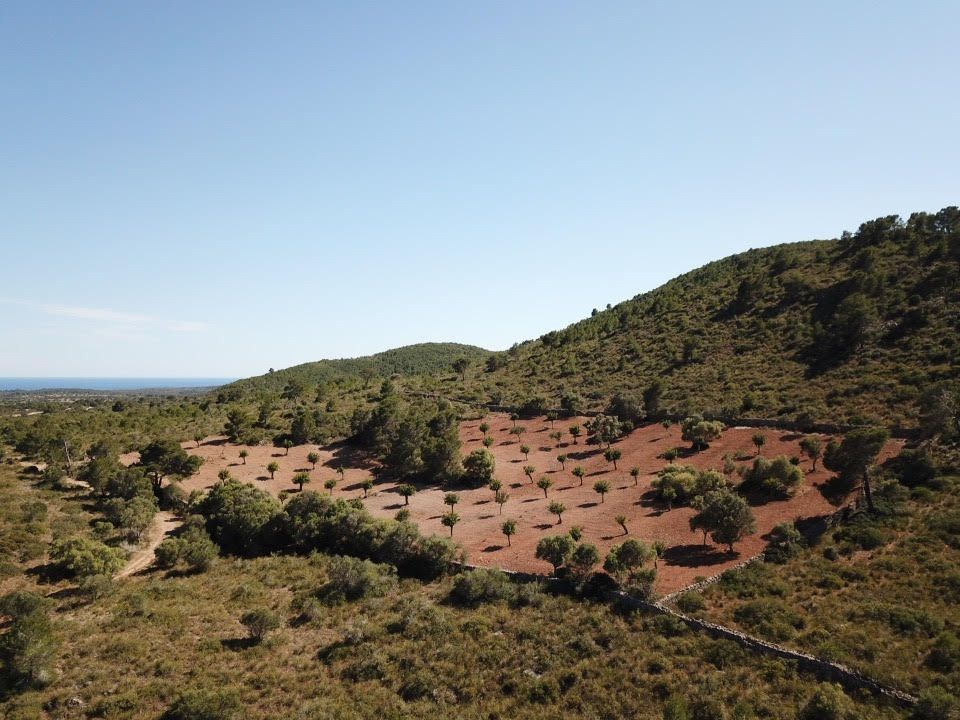 Property photo 1 of 19 Land