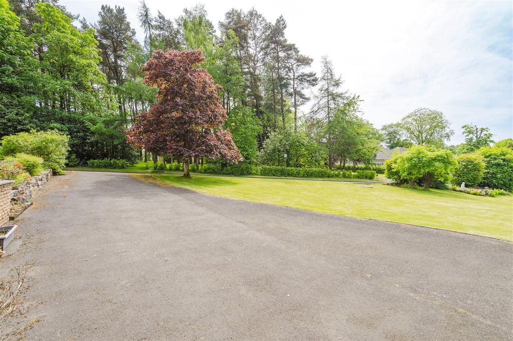 Property photo 3 of 31
