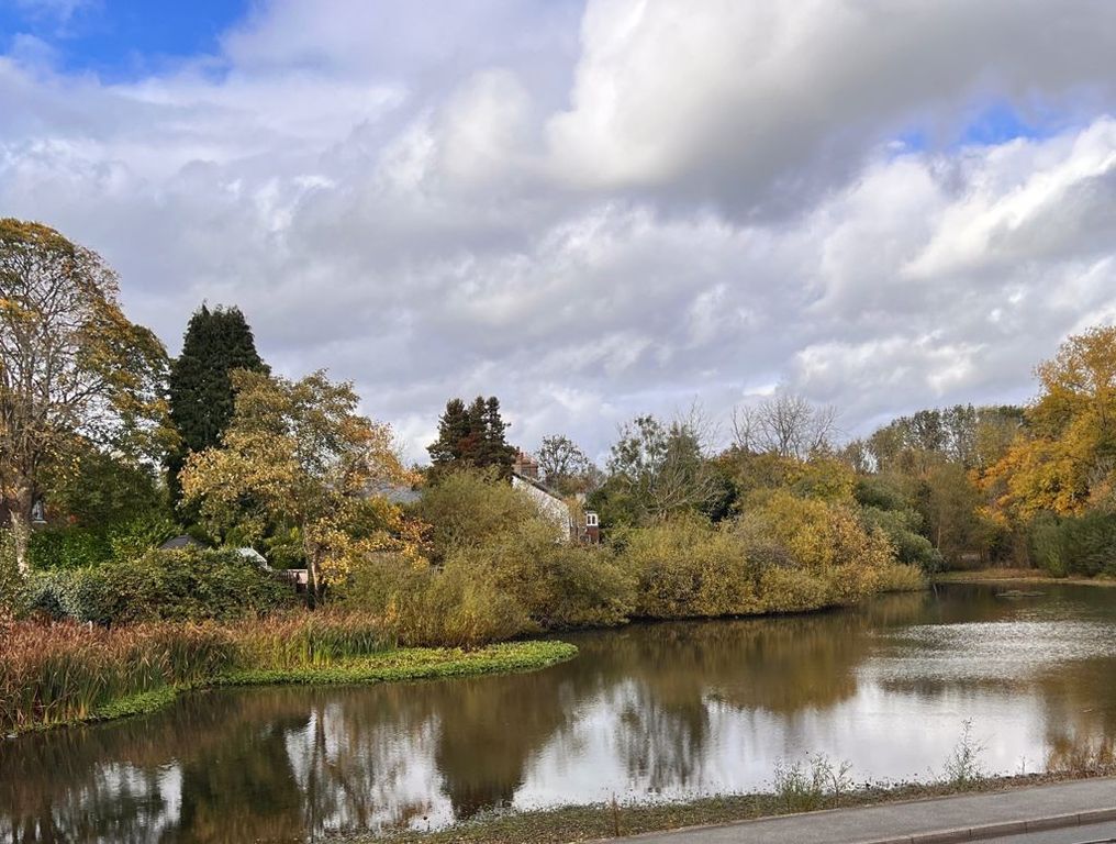 Property photo 2 of 21 Photo 20