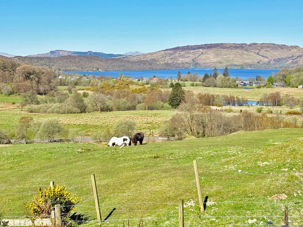 Additional image 101 of 6 bed detached house for saleTaynuilt PA35