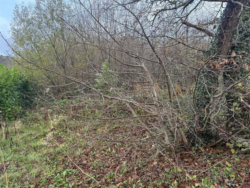 Property photo 1 of 4 Img_3548.Jpeg